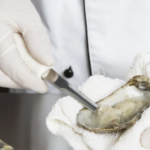 Cuchillo p/ostiones/ostras tipo Boston, polipropileno, acero Dexteel®, 4", Dexter Russell, Sani-Safe, CI10433 / S122PCP