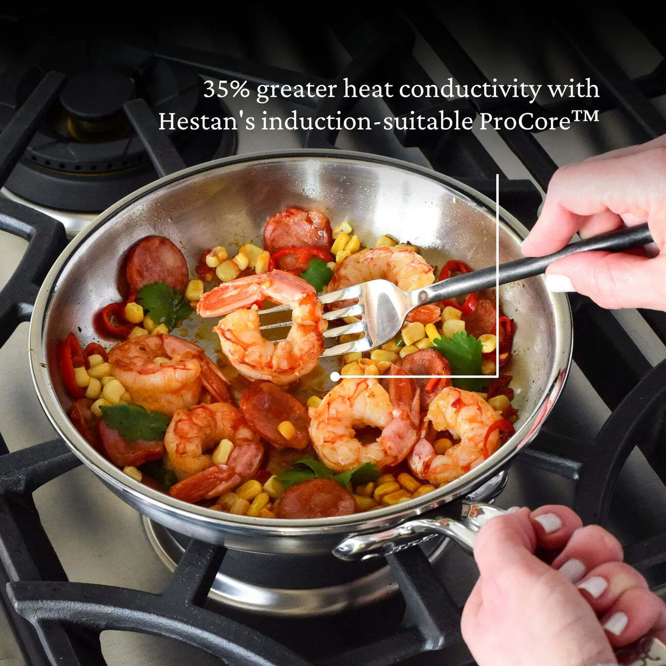 Sartén, Hestan Probond, CS496 (3 versiones) - Image 6