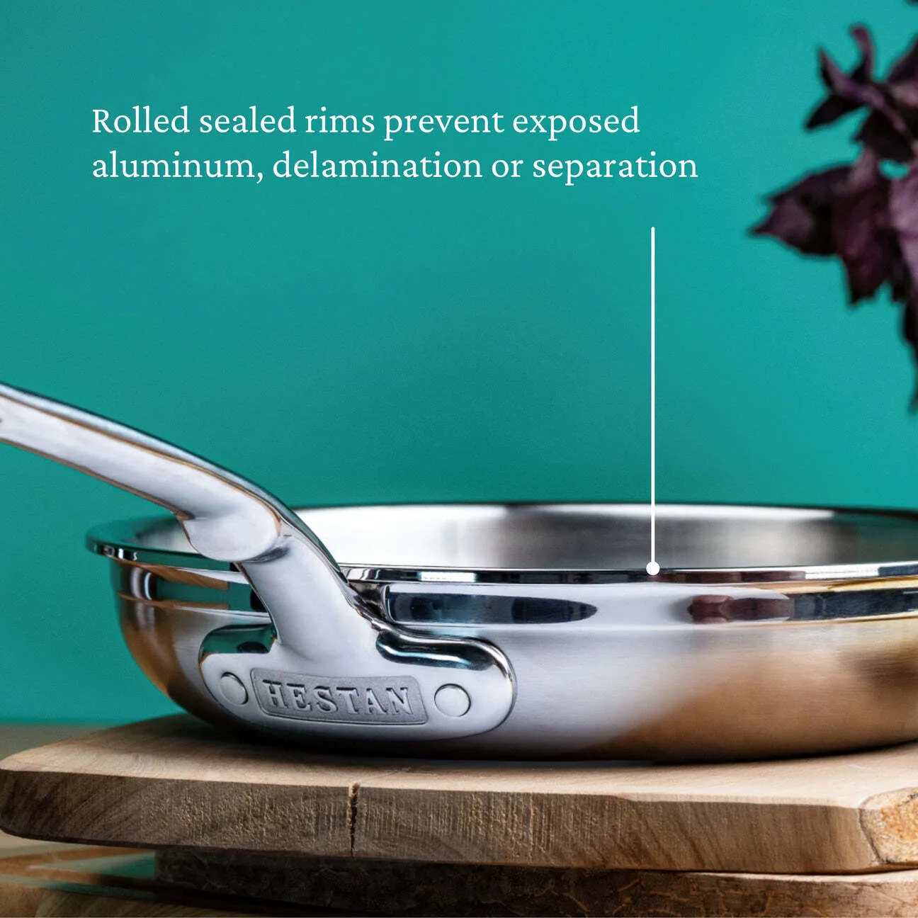 Sartén, Hestan Probond, CS496 (3 versiones) - Image 8