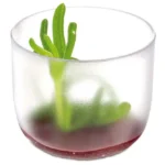 Vaso mini escarchado, 2oz/59 ml, Comatec, CR929